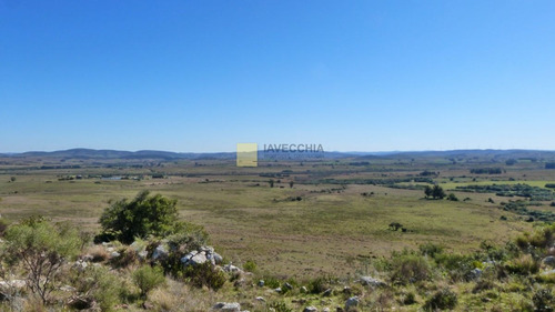 Imagen 8 de 20 de Venta De Campo De 80 Hectáreas Sobre Ruta 39