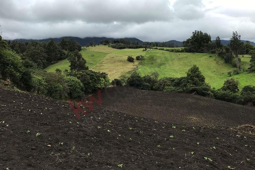 Venta Finca En La Vereda El Neusa En Cogua Cundinamarca