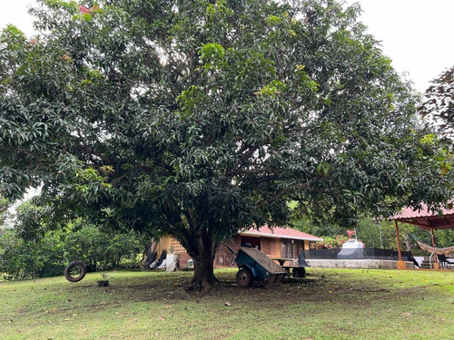 Imagen 22 de 30 de Preciosa Quinta-finca En Labrador De San Mateo De Alajuela, Todos Los Servicios