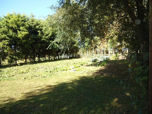 Imagen 15 de 18 de Venta De Chacra