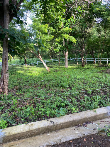 Terreno En Tamarindo 