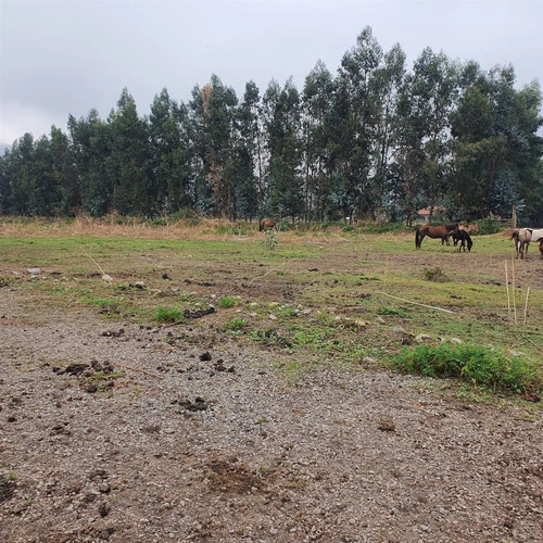 Terreno Construccion  En Venta En San Fernando