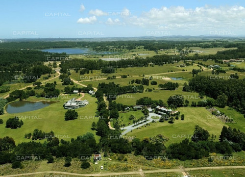 Imagen 4 de 30 de Espectacular Chacra En Manantiales Venta- Ref: 26517