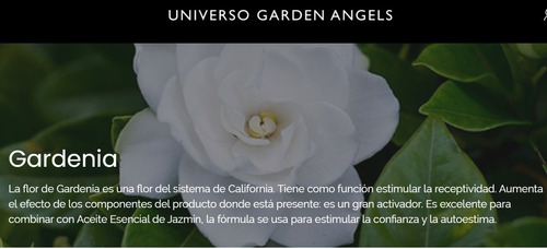 Crema Corporal Gardenia - Universo Garden Angels | MercadoLibre