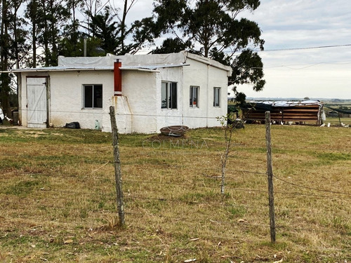 Imagen 7 de 30 de Negocio!! Antes U$s 320000, Hoy Liquida En U$s 185000 - Jose Ignacio José Ignacio