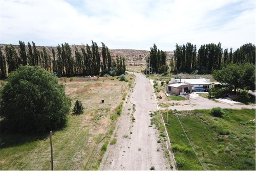 Imagen 29 de 30 de Terreno La Consuelo 499 Mts