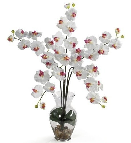 Casi Natural 1106-wh Phalaenopsis Ilusion Liquida Arreglo 