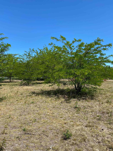 Imagen 8 de 14 de Dueño Vende Hermoso Lote En Villa Elisa, La Plata Calle 409