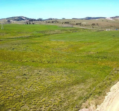 62 Hectáreas | Campo | Ruta 12 Km 14