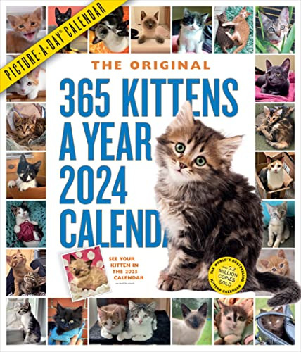 Calendario 2024 Para Colgar 365 Gatos 