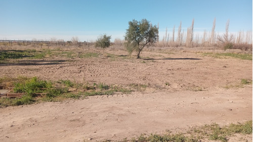 Importante Terreno Con Casa Nueva, En San Rafael Mendoza.