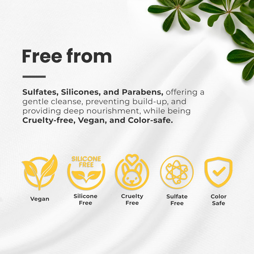 Kit De Cuidados Com O Cabelo Conjunto De Shampoo E Condicion