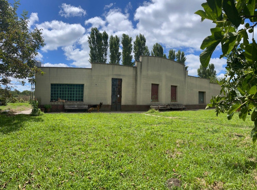 Imagen 1 de 16 de Casa Quinta De 2 Hectáreas En Lobos, Con Excelente Forestación En Zona De Spas.