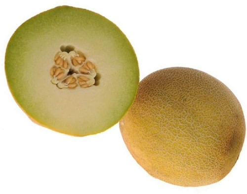 Davids Garden Seeds Fruit Melon Courier 3152 (yellow) 25 No
