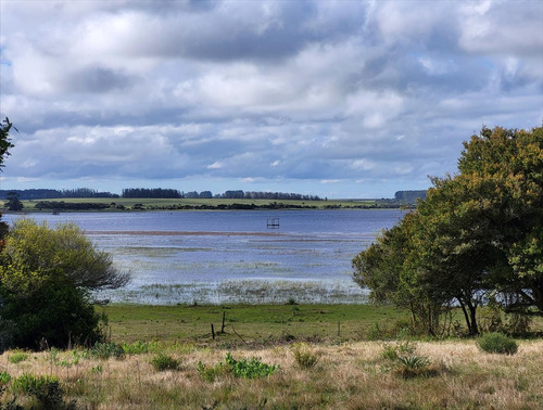 Chacra Sobre Laguna Anastasio Jose Ignacio Punta Del Este