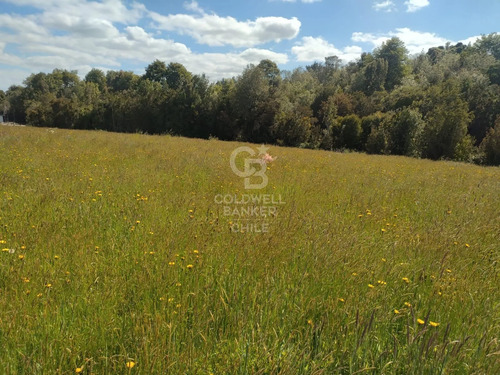 Parcela A Orilla De Camino En Totoral !
