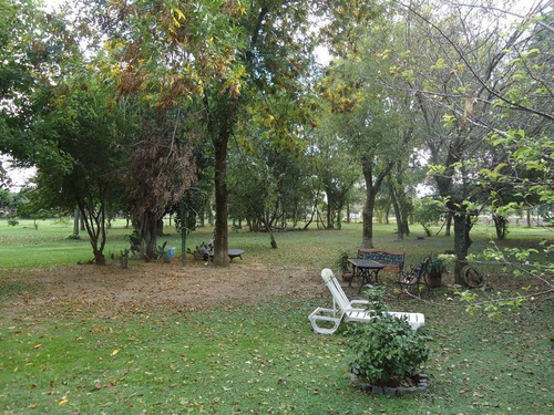 Imagen 7 de 18 de Venta De Chacra