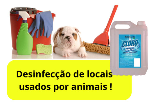 Cloro Em Gel 2l Ideal Para Limpeza De Mofo E Sujeira Top