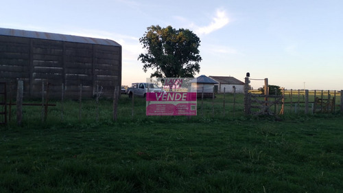 Venta Campo Mixto 130 Has Partido De Ayacucho