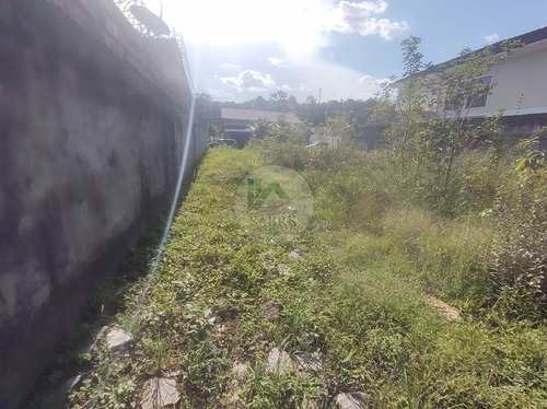 Imagem 11 de 15 de Terreno A Venda No Bairro Ponta Negra, Manaus Am - Te00061 - 69918347