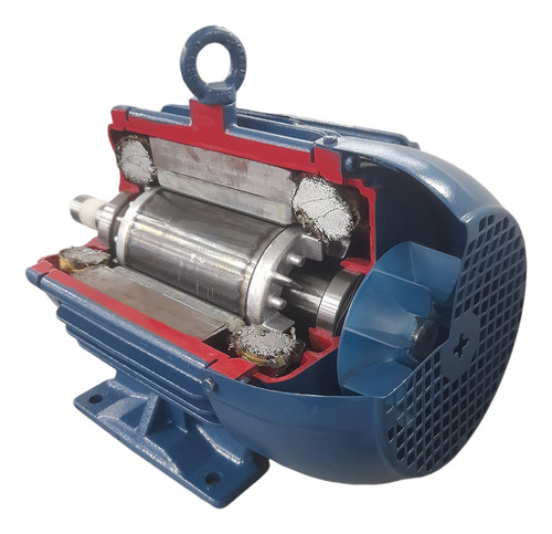 Motor Weg 10 Cv 2 Pólos Original W22 Elétrico Trifásico 380v
