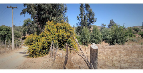 Venta De Sitio Terreno De 7,1 Hectáreas, En Tabolango, LiMac
