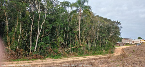 Imagem 8 de 15 de Terreno Para Venda Em Mariana Pimentel, Linha Alves - 1244_1-1843088