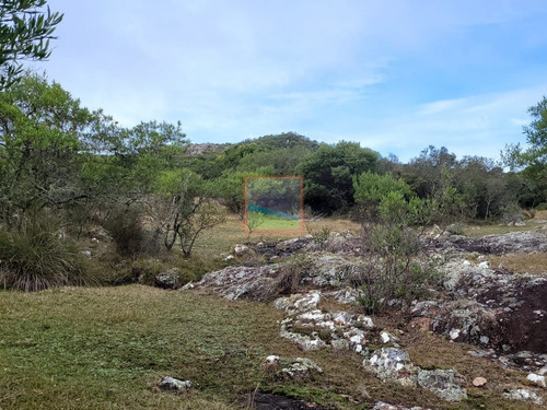 Imagen 6 de 30 de 79 Hás Campo Criador Y Serrano En Corte De La Leña
