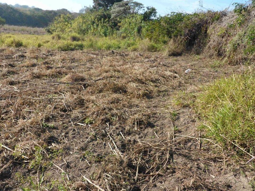 Imagem 1 de 4 de Terreno Residencial À Venda, Jardim Tatiana, Sorocaba. - Te4095