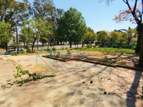 Imagen 4 de 16 de Colonia Del Sacramento - Barbacoa En Esquina Con Buen Terreno