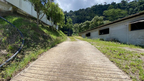 Imagen 18 de 28 de En Venta Granja Porcicola En Las Mesas Via Seboruco