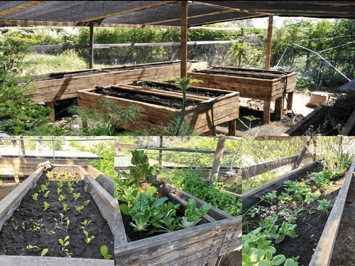 Casa De Arquitectura Única Y Preciosos Jardines Y Entorno