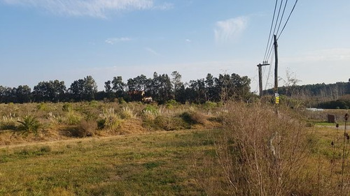 Amplio Terreno De 4,2 Há De 75x570 M. Chacra, Vivienda, Etc.