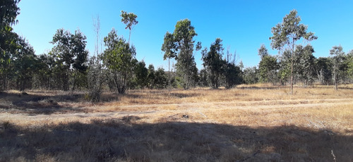 Hasta 9 Terrenos De 1ha A 42ha Total Aprox: 130ha La Rudilla