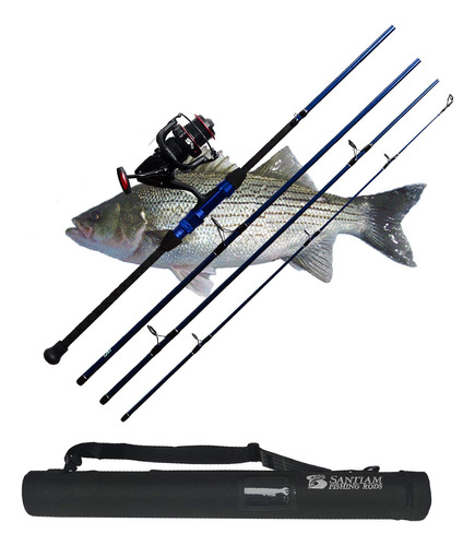 Santiam Caña Pescar Viaje Pieza Surf Rod Carrete Combo