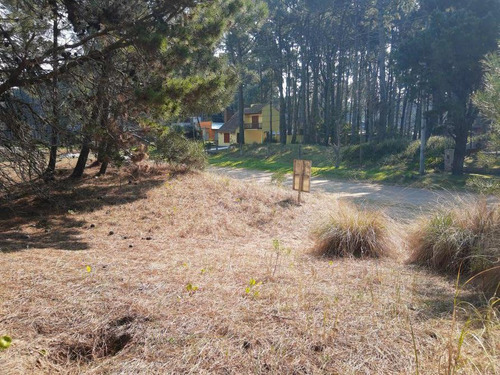 Imagen 2 de 8 de Cerca Del Mar Y La Reserva