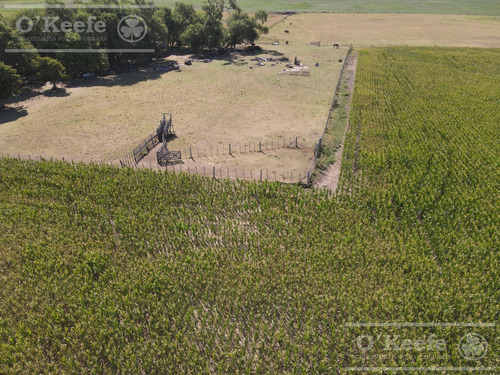 Campo En Venta Mixto De 246 Has En Saladillo