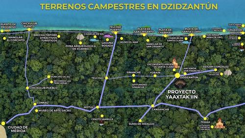 Imagen 2 de 13 de Terreno - Dzidzantún