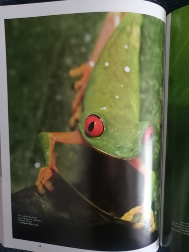 Revista Cuartoscuro 125 (Usado)