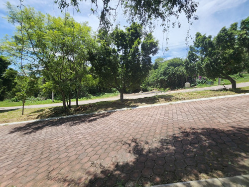 Venta De Lote San Diego 53 Mz Xvi Muy Cerca Del Acceso Y Sobre Av Principal Con Bonita Vista En Fracc Rancho San Diego Ixtapan De La Sal Edomex
