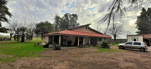 Chacra En Venta- Casa Principal, Casa De Huéspedes, Departamento Y Pileta. Virrey Del Pino