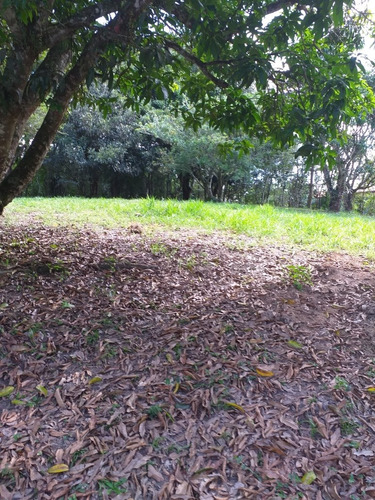 Imagem 10 de 11 de Chácara Para Venda Ou Locação Em Mogi Das Cruzes (sabaúna)