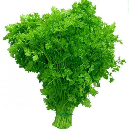 Sementes De Cerefólio