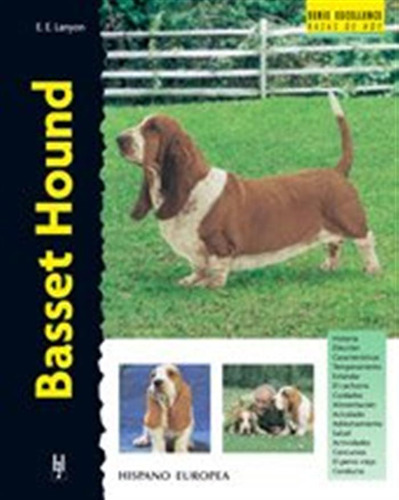 Basset Hound -excellence-