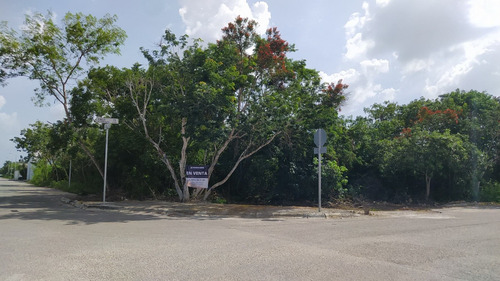 Imagen 2 de 8 de Terreno En Residencial Del Mayab Temozon