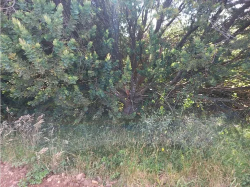 Venta De Lote Chivatá