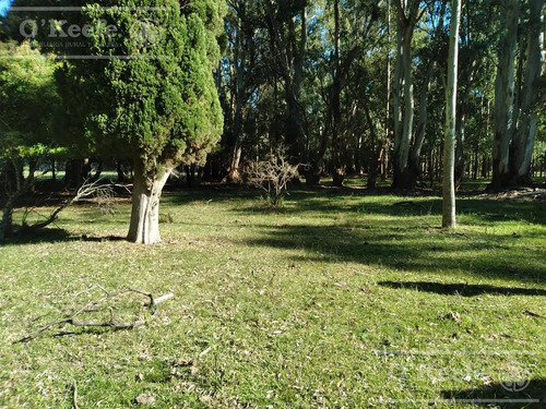 14 Has En Punta Indio Chacra En Venta, Monte Forestal - Retasada!
