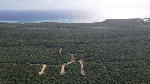 528 Tulum, Tulum, Quintana Roo, Lotes Residenciales Con Cenote Propio