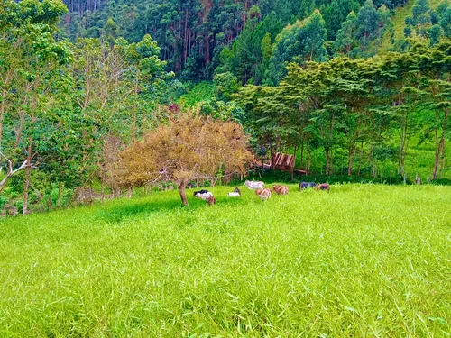Finca En La Palma Cundinamarca