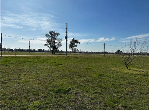 Lote En Venta En Barrio Fincas Joven, San Vicente.